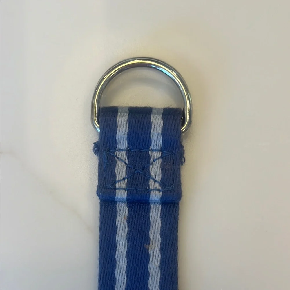 Polo by Ralph Lauren Blue and Gray Kids Belt